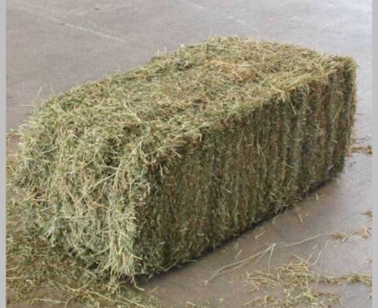 Alfalfa sqaure bales 1