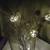 Crystal 3 Light 58" Floor Lamp 5 thumbnail