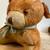 Vintage Bronx Zoo Souvenir Teddy Bear 7 thumbnail