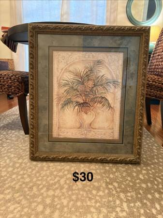 Framed Fern print 1