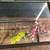 Aquarium / Turtle / Fish Tank Small to Medium 11 thumbnail