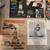 Vintage Magazines $ 5 each/ & war metals 1 thumbnail