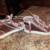 New Mossimo Supply Co Pink Soft Uppers Sz 6 - $10 1 thumbnail