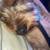 🐾 REAL WORLD DOG TRAINING & BOARDING – ANNAPOLIS | SPECIALS 🤩👀👇 20 thumbnail