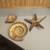 Brass Sea Shells and Starfish 2 thumbnail