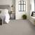SHAW High End Anso Nylon Pattern Carpet Blowout Sale!!! 5 thumbnail