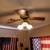 Free ceiling fan 3 thumbnail