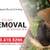 ☎ $75 Tree Stump Grinding*& root removal: Lowest mimimum:720-410-5256☎ 2 thumbnail