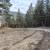 74.81 Acres of High-Potential Land 7 thumbnail