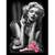 NEW MARILYN MONROE BLANKETS and many more designs 6 thumbnail