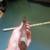 Mini Ball Pein Hammer 6 thumbnail