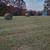 Hay for sale 8 thumbnail