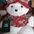 Santa Bears 1985-2007 Have a Plush Christmas 9 thumbnail