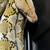 Beautiful snakes need homes!!! 2 thumbnail