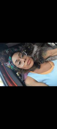 Recompensa en efectivo si se encuentra gato perdido (San Diego)63510454742273121