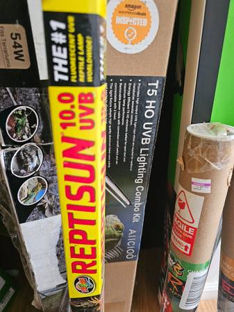 Reptile lights (Sewickely)63882278300929122