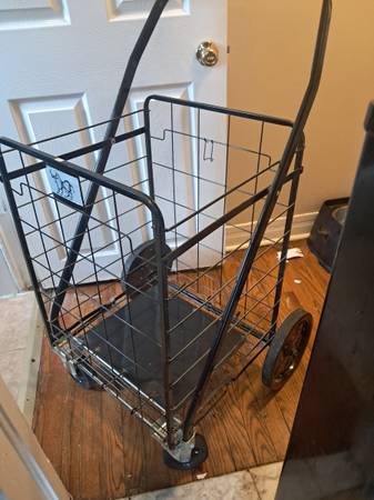 Large shopping cart 1