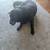 Our lovable Rocky needs a new home - no fee 3 thumbnail