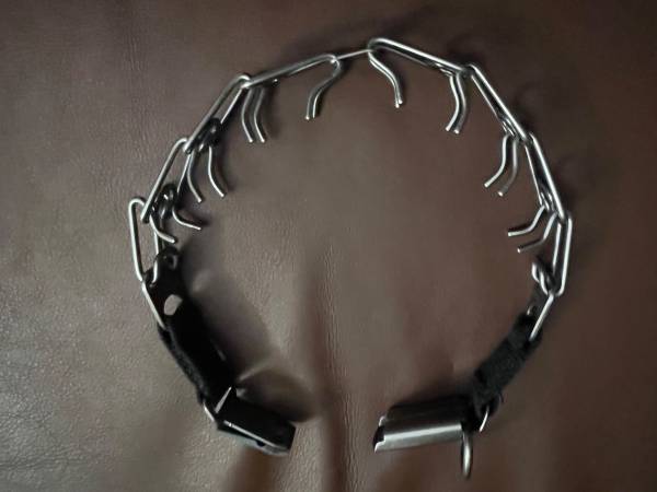 Dog Training Collar 1