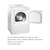 Insignia™ - 6.7 Cu. Ft. Electric Dryer with Sensor Dry - White 1 thumbnail