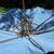 Patio Umbrella 2 thumbnail