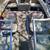 Maxum 17ft ski boat. ***reduced*** 7 thumbnail