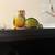 Green cheek conures 5 thumbnail