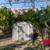 Charming 2 Bed 1 bath Redford Ranch 20 thumbnail