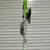 GREENWORKS 40V 13"String Trimmer& 20"Hedge Trimmer W/Battery &Charger 1 thumbnail