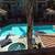 BEAUTIFUL ROOM & PRIVATE BATHROOM FOR RENT 11 thumbnail