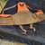 LL Bean game bird hunting vest 3 thumbnail