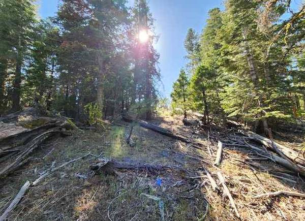$125 /mes..¡Vistas a la montaña y casas pequeñas permitidas! 0.9 acres cerca de Alturas (Alturas, CA)63839293121923122