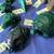 Two Carved Jasper Crystal Rock Chameleons are 3"x 1"x 4"tall..More 10 thumbnail