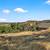 Lakeview lot! 4 thumbnail