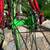 55cm Schwinn Le Tour Step Through Single Cross. NEW CUSTOM BUILD. 6 thumbnail