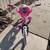 Princess Bike cash pick up 2 thumbnail