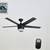 Merway 52” Integrated LED Indoor Matte Black Ceiling Fan with Light Ki 1 thumbnail