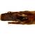 Russian Silver or Blue Fox Fur Stole 14 thumbnail