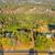 17+ acres in the city of Loganville 7 thumbnail