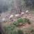 Room for Rent in Beautiful Upper Magalia, CA on 3.5 acre homestead! 9 thumbnail