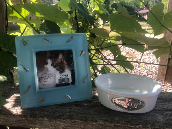 Cat Picture Frame and Dish 1
