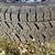 Toyota TRD wheels with 265 70 17 New All Terrain tires 10 thumbnail