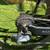 Dimond Brilliant Triathlon Super Bike 2 thumbnail