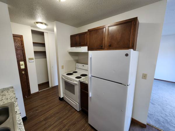 $1,350 / 2br - 950ft2 - MOVE IN THIS WEEKEND!!! Spacious 2BR w/ Updates! VIDEO TOUR (Mounds View)63868702661249120