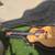 Beautiful Martin Guitar 1 thumbnail