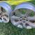 4 BMW 18” wheels 17 thumbnail