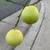 Lemon / Lime  (SEEDLESS / JUICY) Tree 5 thumbnail
