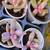 Succulent decorative plants 8 thumbnail