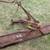 5 foot angle blade - excellent condition 3 thumbnail
