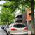 Fully renovated legal 2 family 3 br/2 bth in each apartment 4 thumbnail